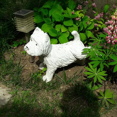 Le Beau Verger لو مان