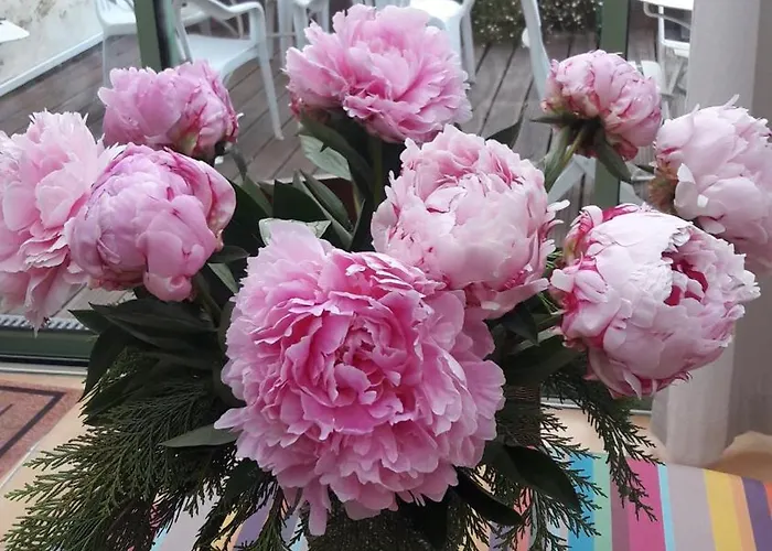 Alojamento de Acomodação e Pequeno-almoço Le Beau Verger 3*